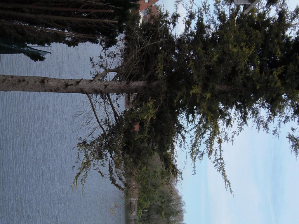 Lakeside Continental Hotel Camberley Bagian luar foto