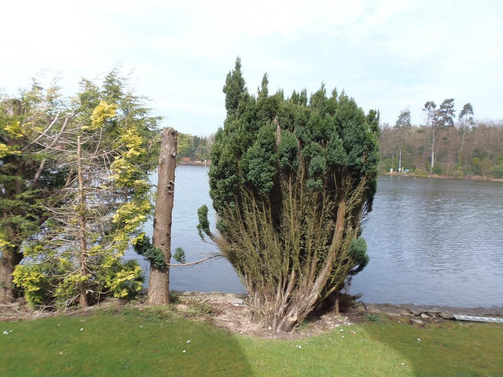 Lakeside Continental Hotel Camberley Bagian luar foto